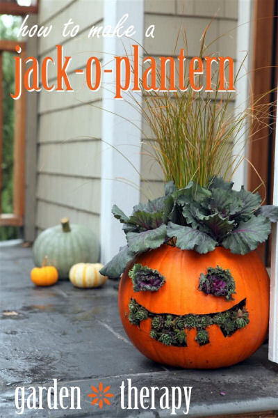 Creative DIY Jack-O-Plantern