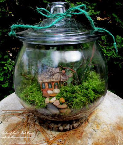 Indoor DIY Terrarium.