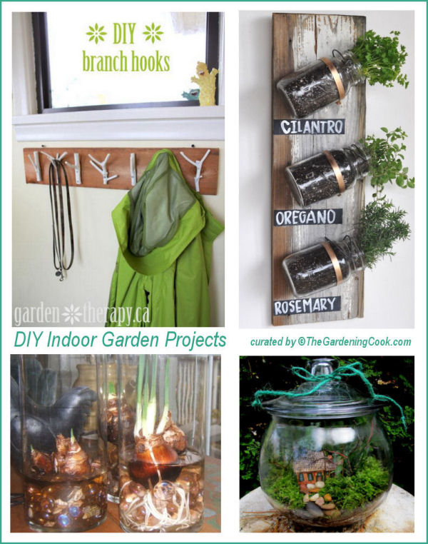 DIY Indoor Garden projects