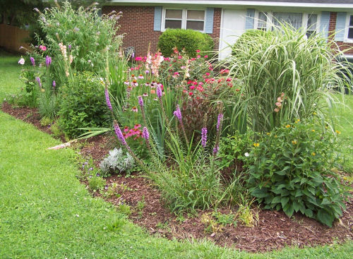 My front garden bed