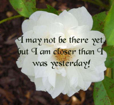 White rose and motivational saying about progress.