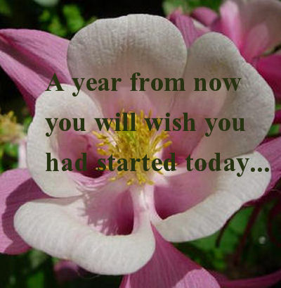 Get started today quote