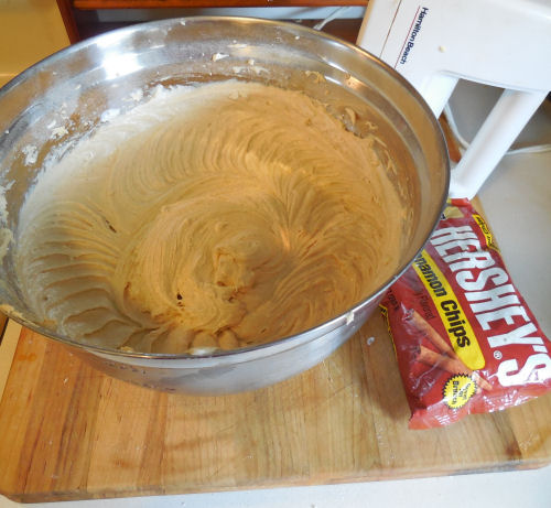cinnamon chips