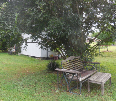 Garden bench and seat in front of my garden shed that needs TLC.