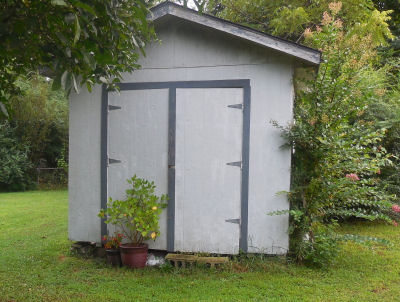 Garden shed with plants that still needs TLC.