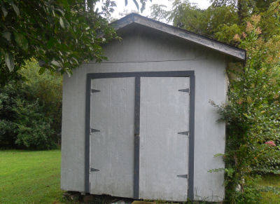 Bare Garden Shed needs some TLC