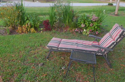 Lounge chair and garden bed.