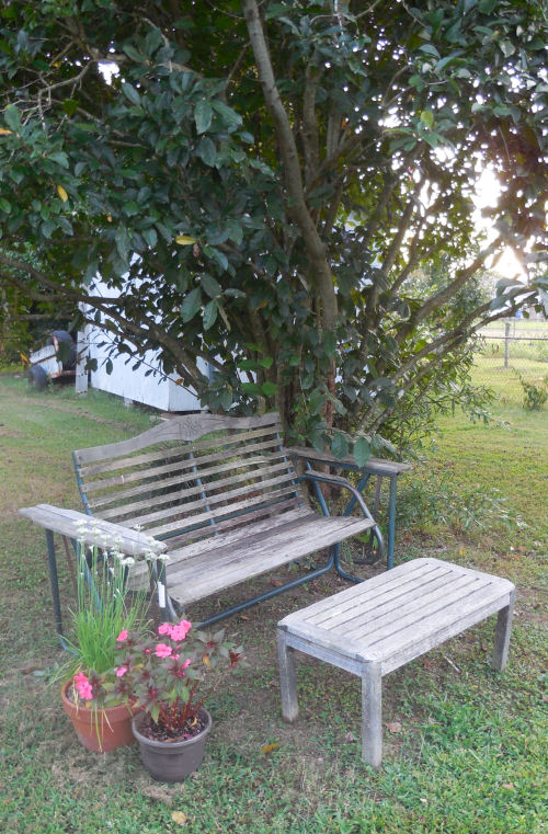 Under tree garden seating ideas: Back yard swing and coffee table