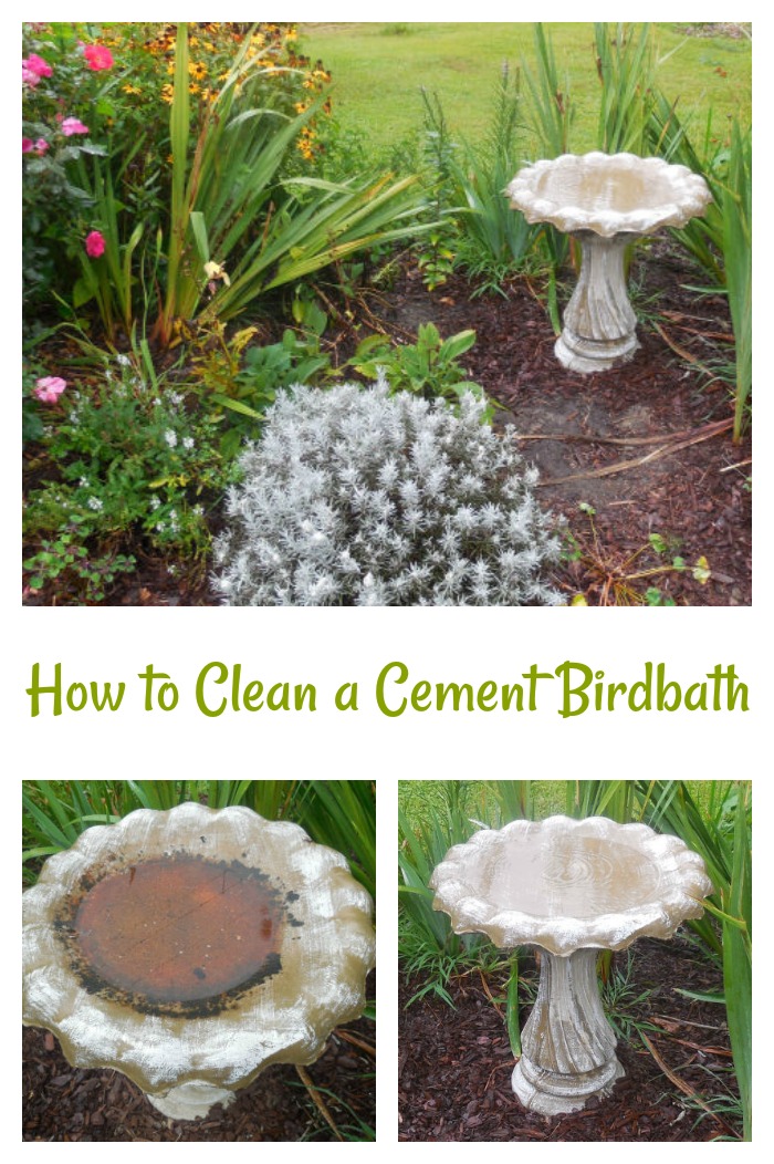 clean and dirty birdbath in a collage with text reading How to Clean a Cement Bird Bath.