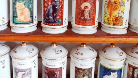 Lenox Spice Jars – Cats of Distinction – A Collector’s Item
