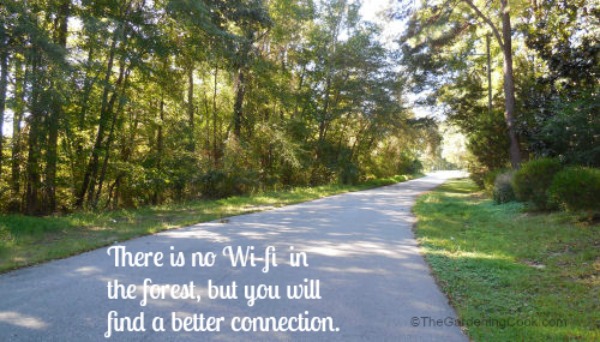 There is no Wi-Fi in the forest. My morning walk photo!