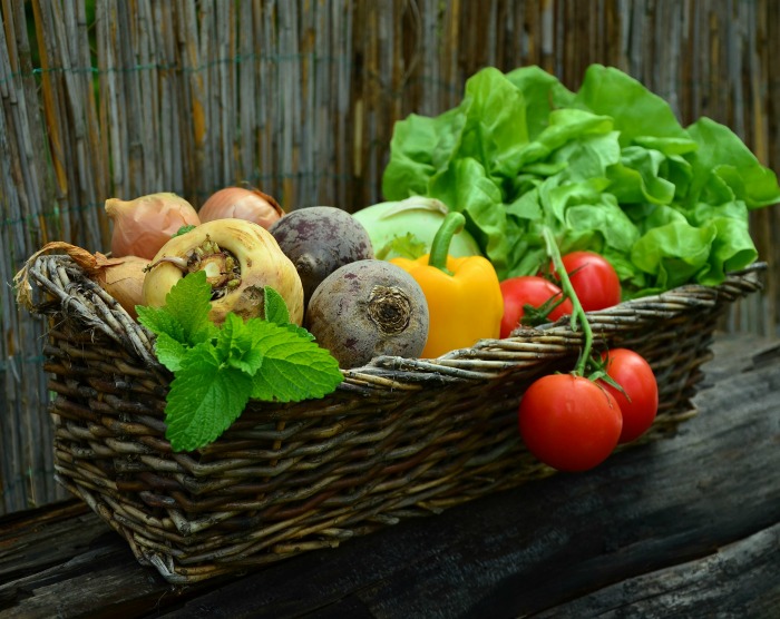 There are lots of vegetables that you can still plant for a fall garden