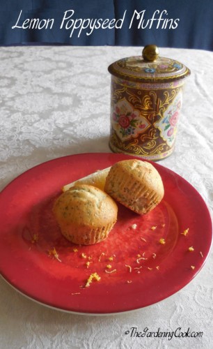 Lemon Poppyseed Muffin