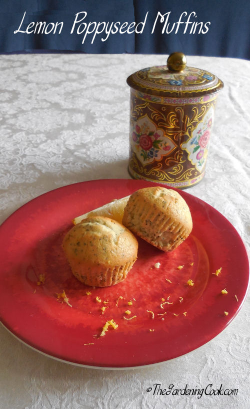 Lemon Poppyseed Muffin