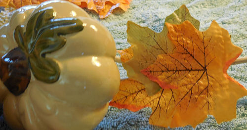 fall leaves on pumpkin.