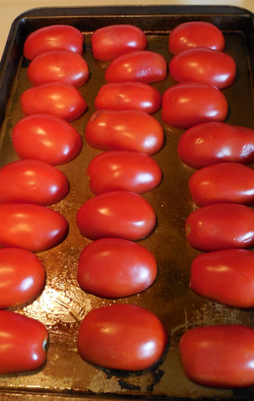 Sliced tomatoes ready for roasting