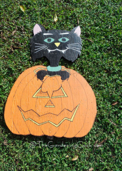 DIY Cat and Pumpkin