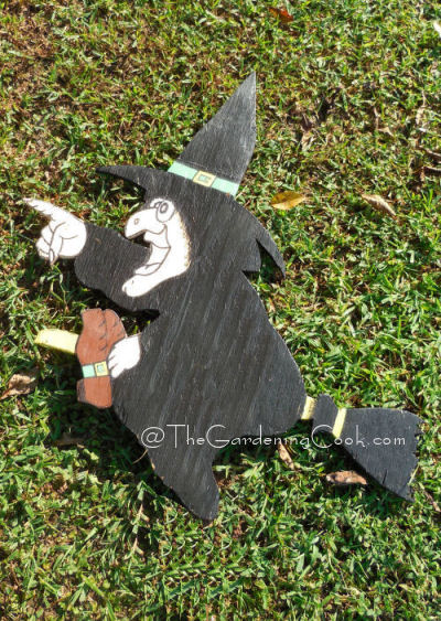 DIY Witch
