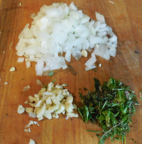 onion, garlic and spices