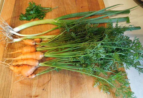 carrots spring onions parsley