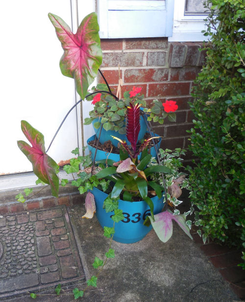 DSCN1235