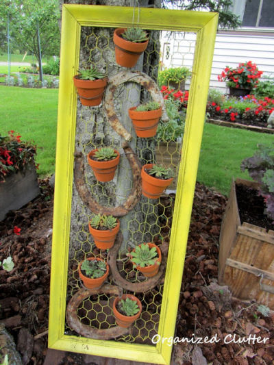 Framed Succulents
