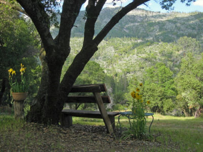 DIY project for a wooden bench.