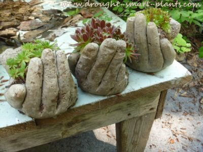 Hypertufa hand planters.
