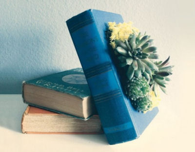 Vintage books used as succulent planters.