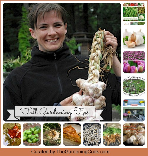 Fall Gardening Tips from 9 Talented Gardeners