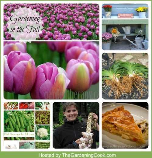 9 Gardeners share their fall gardening tips