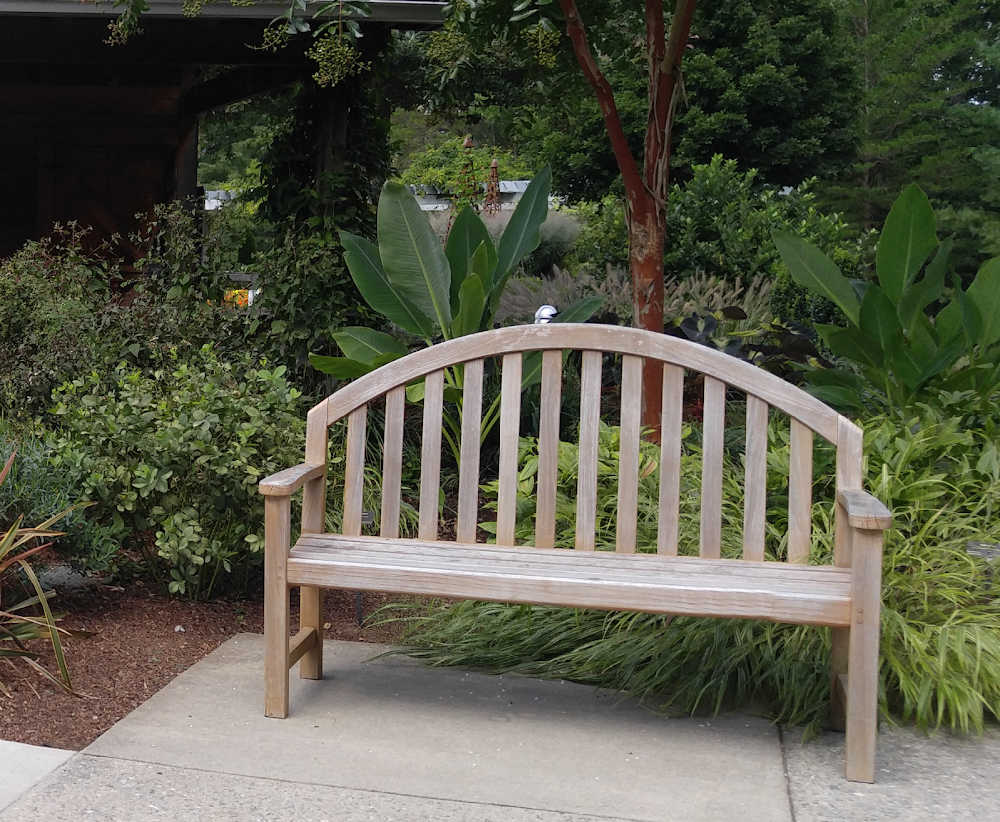 Garden bench in front of a lushly planted garden setting.