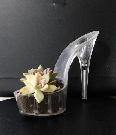 Recycled Succulent stiletto planter