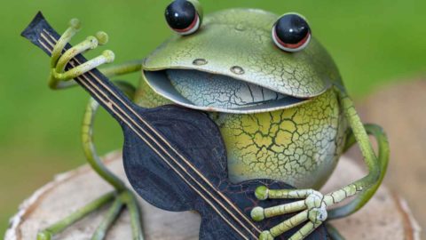 Frog Garden Decor – Frogs in the Garden – Cute Accents