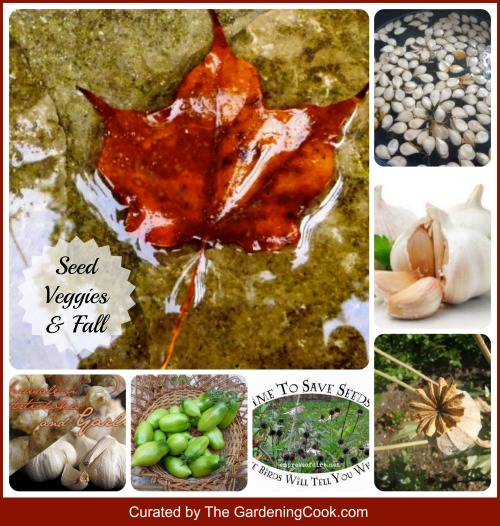 9 Gardeners share their Fall tips and Tricks