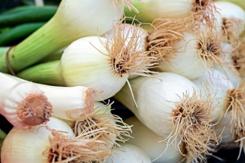 Spring onions will re-grow