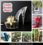 Creative Succulent Planters