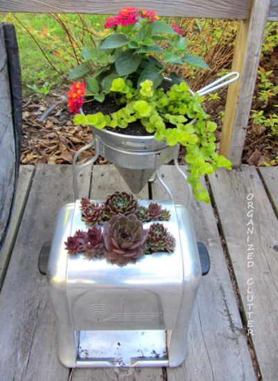 Vintage Toaster used as a succulent planter.