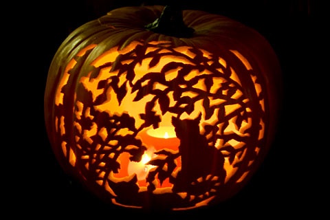 Cat's in The Window Carved Pumpkin
