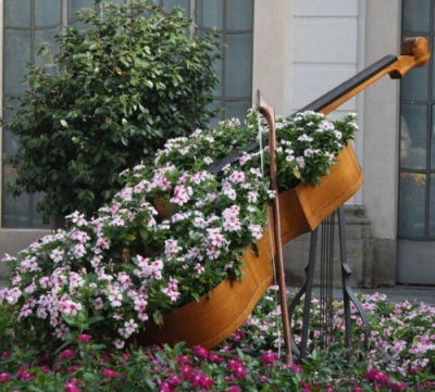 Double Bass used as a garden planter