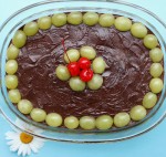 Coconut Chocolate Dessert with Grapes