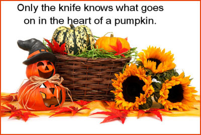 Funny Halloween saying.