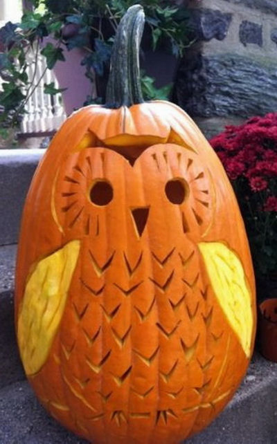 Carved Owl Pumpkin