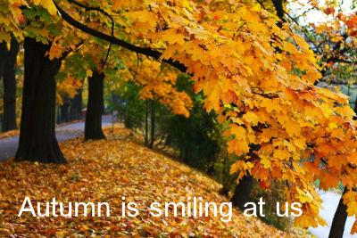 Autumn quote