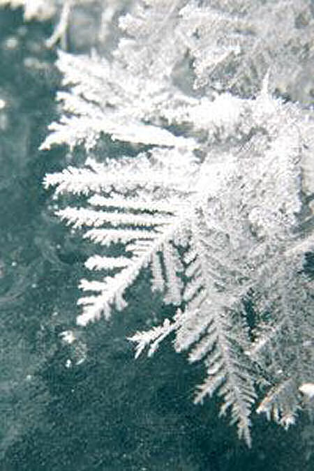 Frost flowers