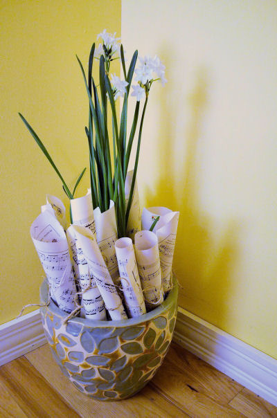 Rolled up Sheet musica planter