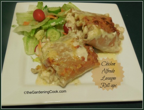 Chicken Alfredo Lasagne Roll Ups
