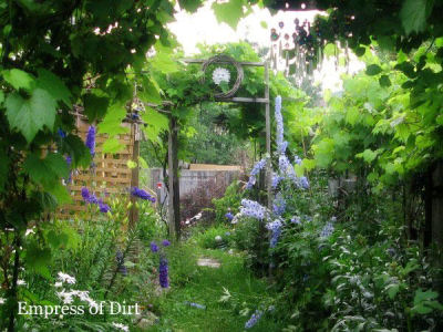 Presoaking seeds give great garden results.