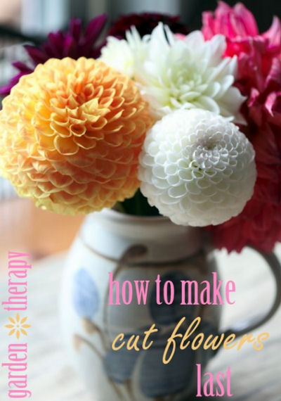 How to Make Cut Flowers Last