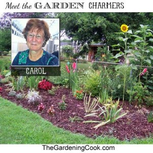 Meet Carol from The Gardening Cook